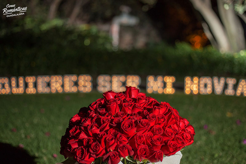 quieres ser mi novia